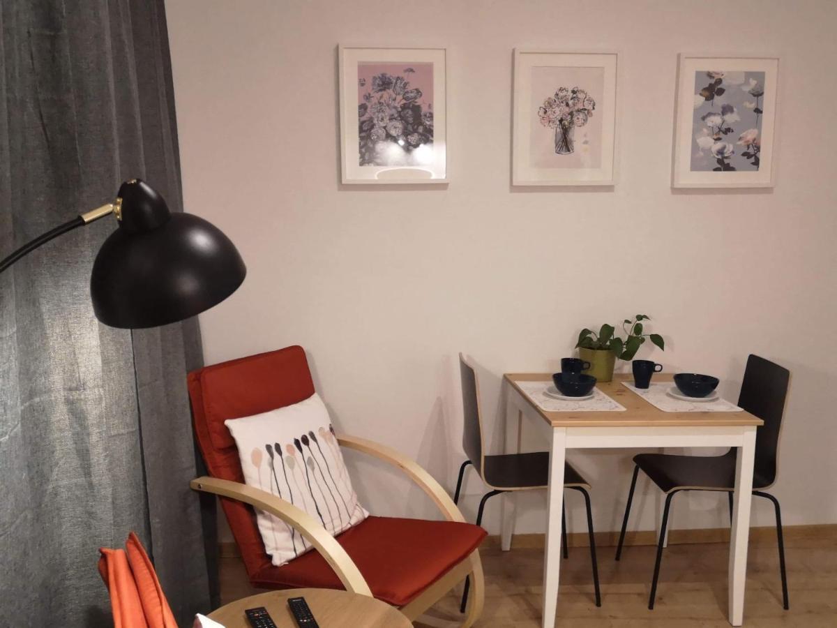 Studio Kosciuszki Apartment